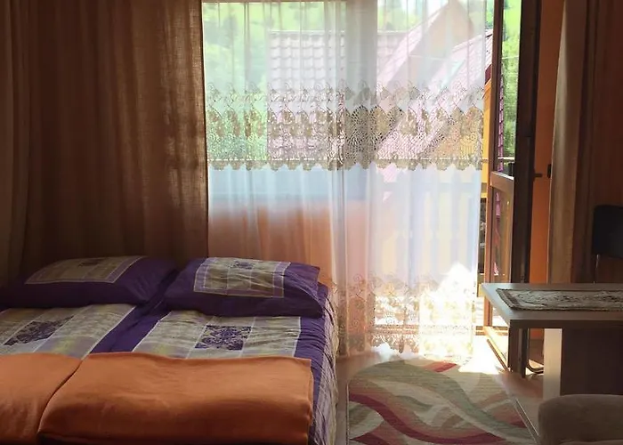 Проживание в семье U Zoskip